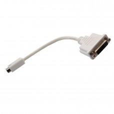 Mini-DVI to DVI Adapter Cable - CL-ADA31020
